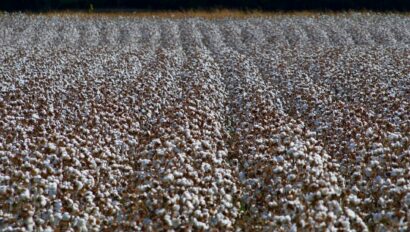 jeff-hutcheson-i-62dBYw_vM-unsplash