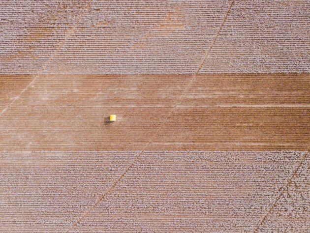 sustainable textiles cotton farming